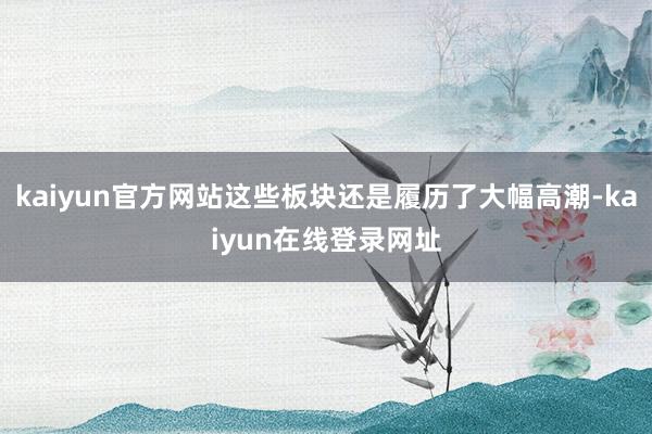 kaiyun官方网站这些板块还是履历了大幅高潮-kaiyun在线登录网址